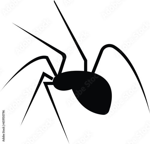 Spider Black Widow. Black bug spider silhouette, isolated white background. Scary Halloween icon, symbol horror, animal arachnid, creepy dangerous insect, arachnophobia fear
