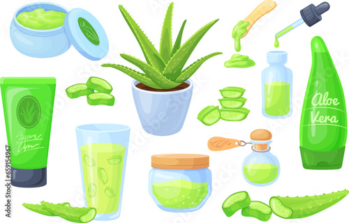 Cartoon aloe vera. Slice succulent plants, juice gel on natural cactus herbs spa cosmetic product cream oil or serum for face and hand skin care, beauty neat vector illustration