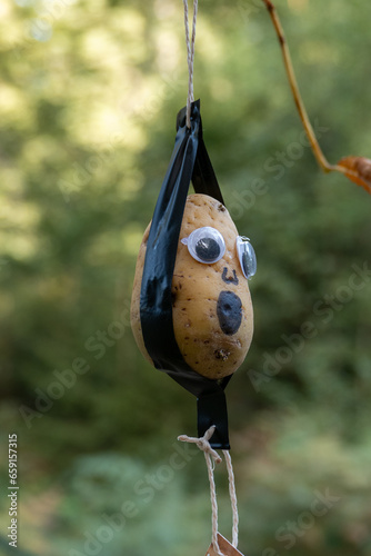 Der Kartoffelbaum im Hürtgenwald, beliebtes Ausflugsziel in der Eifel. photo