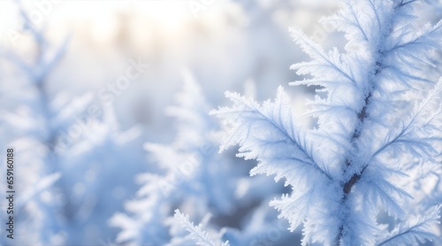 Beautiful background image of hoarfrost in nature close up. bokeh background, sun light