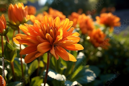 Orange flower in a garden. Generative AI
