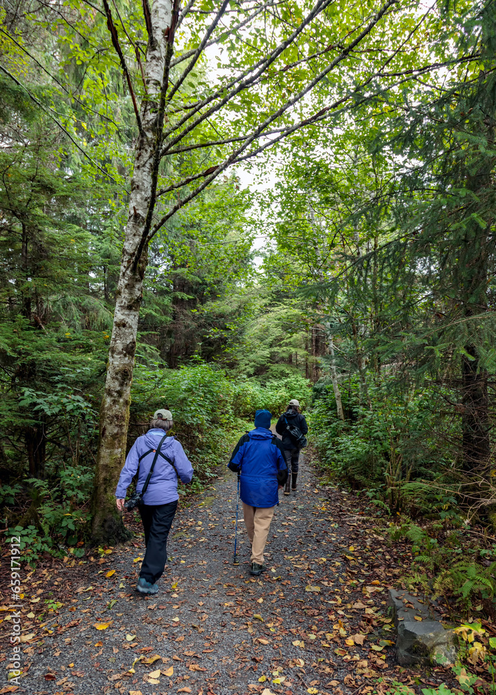 Forest Hike Forest Hike