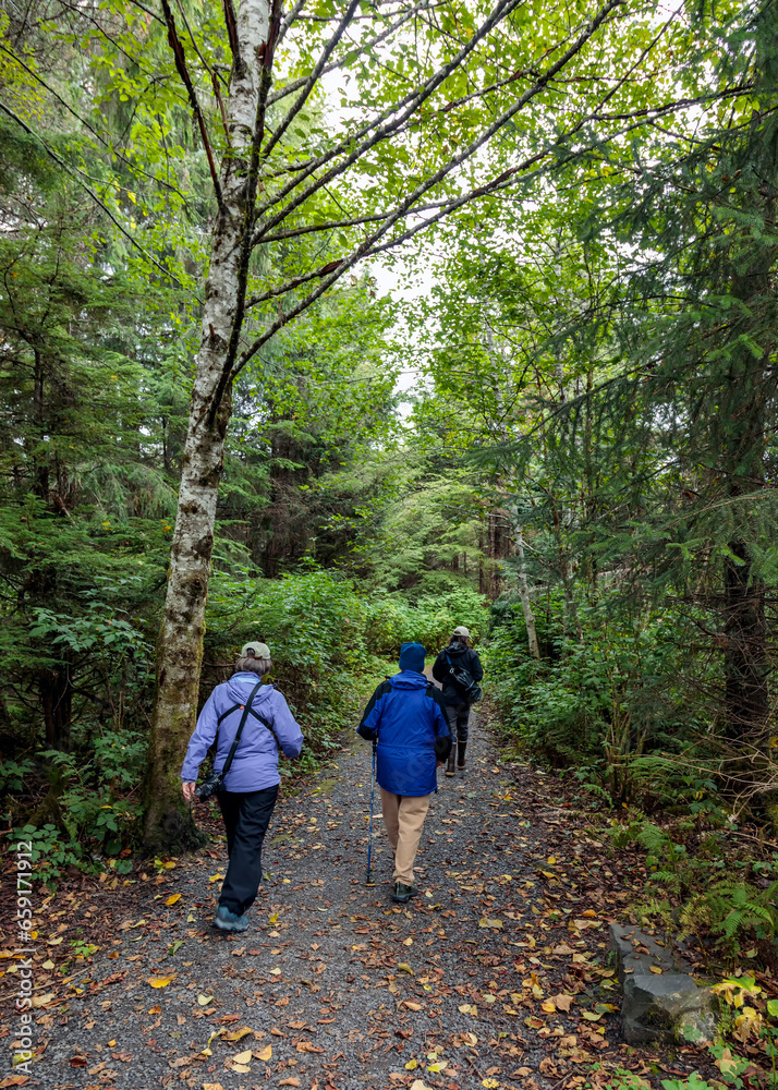 Forest Hike