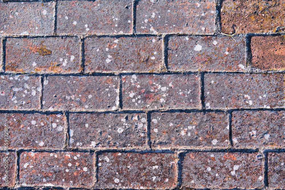 Fototapeta premium Fragment of a brick pavement. Old shabby brick.
