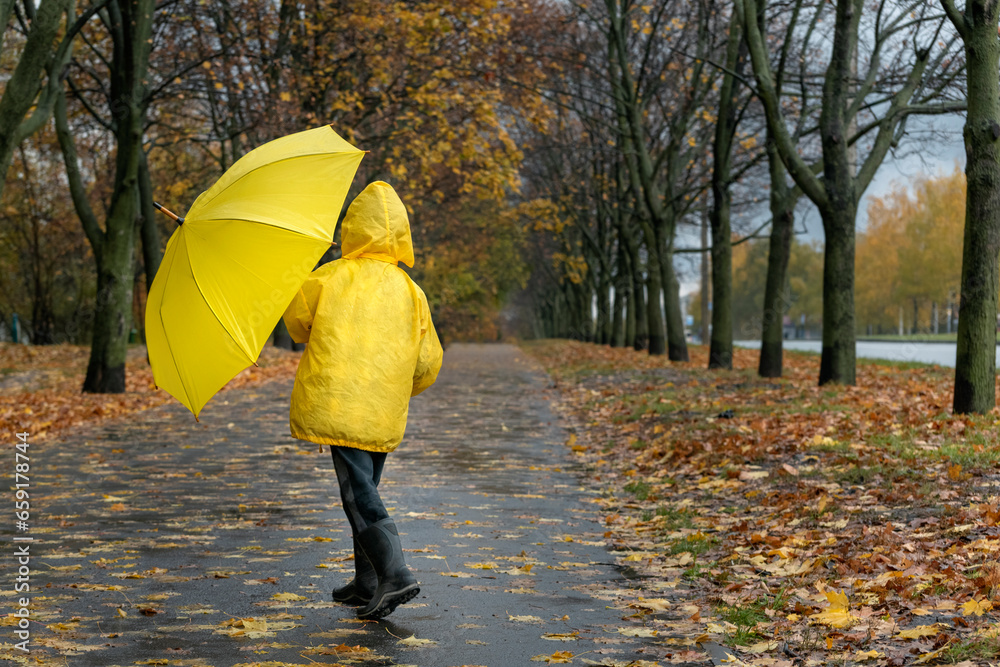 Boy with an umbrella walks in the rain in the autumn park. Child on the walking. Back view