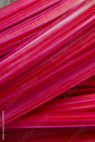 red mangold stems as a food textured background