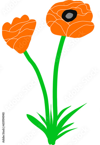 Beautiful poppy flowers isolated on white background. Hand drawn minimalist vector design.
