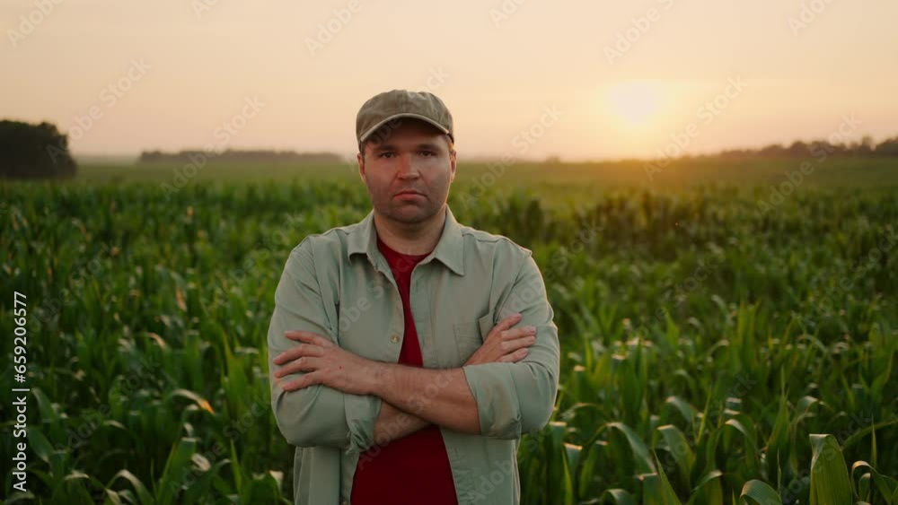 Serious Farmer With Folded Hands Looking At Camera, Portrait To In Agricultural Field, Man In Nature Serious Farmer With Folded Hands Looking At Camera, Portrait To In Agricultural Field, Man In Nature