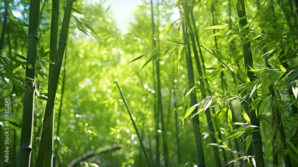 Fototapeta premium A vibrant cluster of green bamboo plants up close