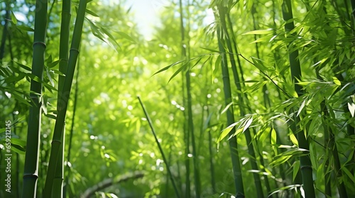 A vibrant cluster of green bamboo plants up close