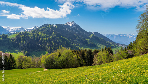 Idyllic mountain landscape in the Alps with blooming meadows in springtime © Irene