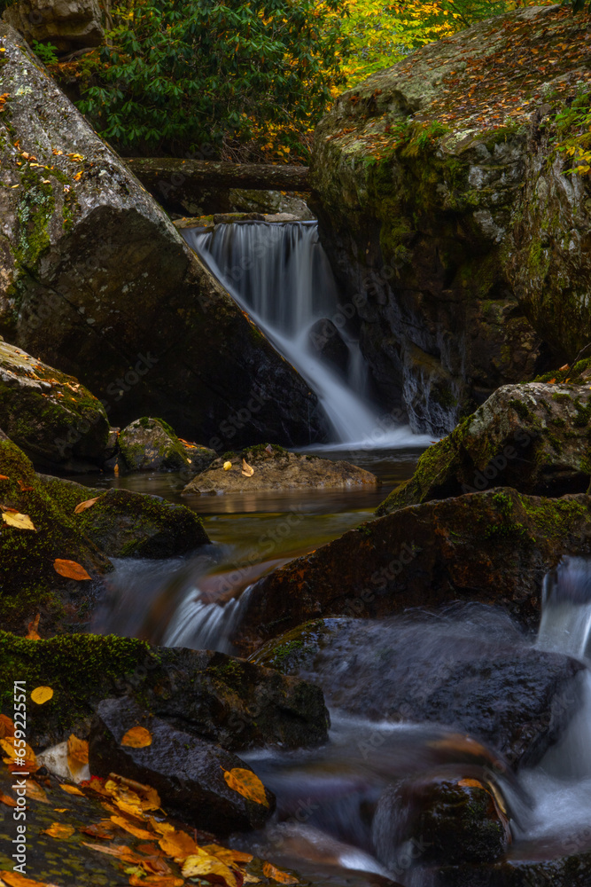 Fototapeta premium Autumn along the mountain creek