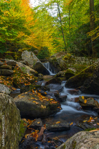 Autumn along the mountain creek