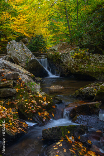 Autumn along the mountain creek