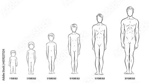  illustrations of human life cycles from one year to thirty years of age, simple outline front view. Male character. Vector design isolated on transparent background.