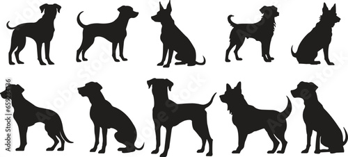 set of flat Dog Silhouettes. No open shape or path. Dogs breeds, veterinary, dog standing, pet sitting logo inspiration. Dog show, competition, pet store, guide dog isolated on transparent background.