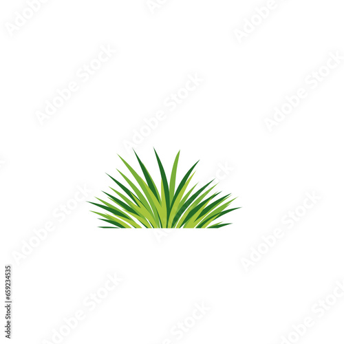 Grass illustration 
