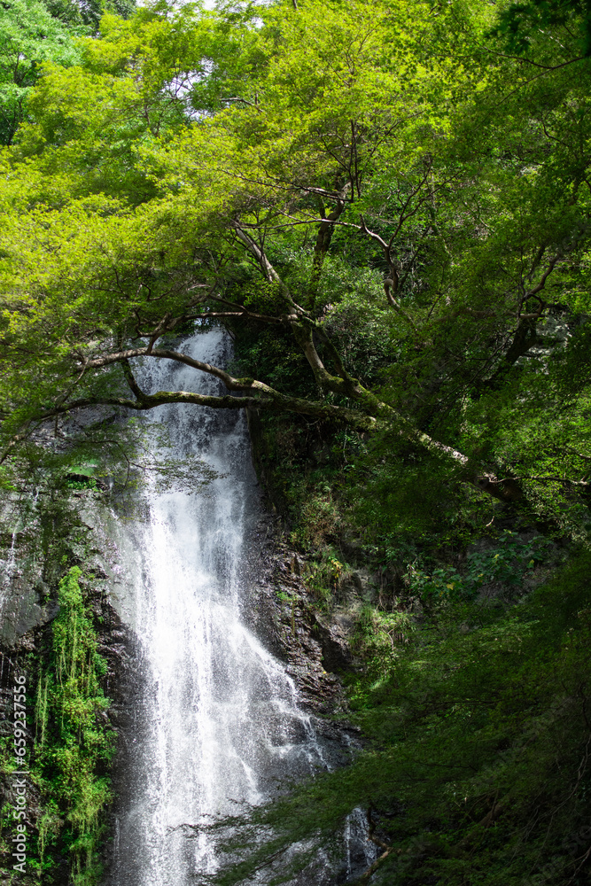 Minoh Falls, Osaka, Japan in summer

