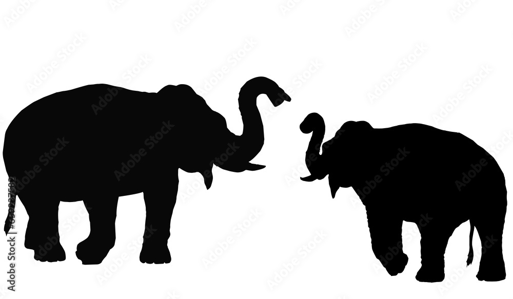 elephant silhouette 