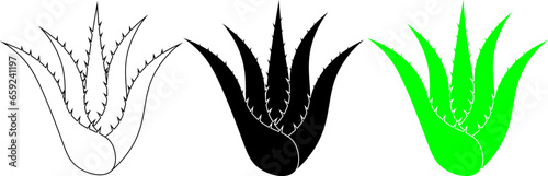 outline silhouette aloe vera plant icon set