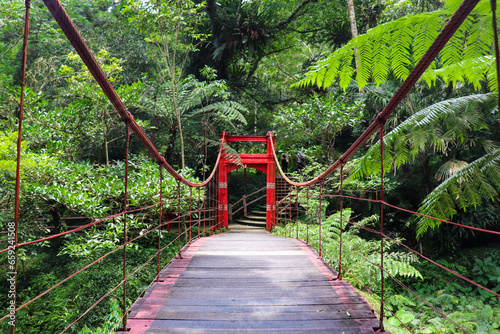 Fototapeta Naklejka Na Ścianę i Meble -  red chinese bridge in taiwan