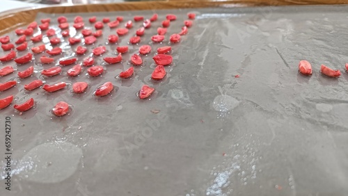 Peanut Seeds Stained with Tetrazolium Solution and Arranged on Test Paper Media to Test Germination Power photo