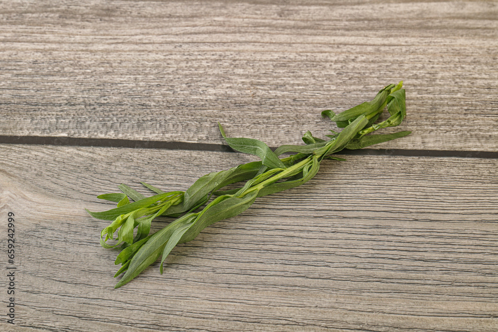 Green tarragon herb spice for cooking Green tarragon herb spice for cooking