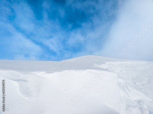Looking up at the summit covered with thick fresh snow  Niseko  Hokkaido  Japan 