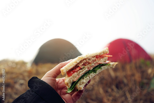 Ham Cheese Sandwich on natural background