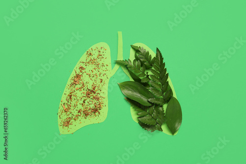 Paper lungs with leaves and...