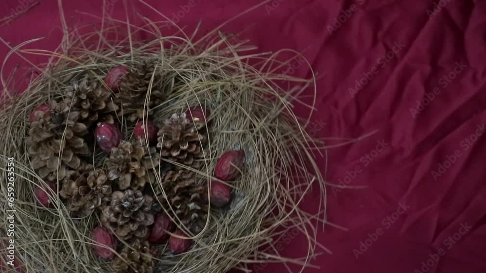 Christmas background 360 degree rotation. Dried pine spinning on red background. Concept of New Year presents, festive and holiday shopping Christmas background 360 degree rotation. Dried pine spinning on red background. Concept of New Year presents, festive and holiday shopping