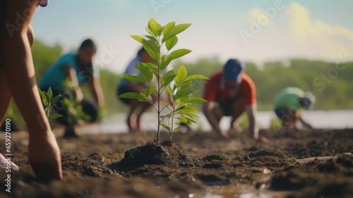 Group of volunteers planting mangrove forests, earth day and save the world. photo