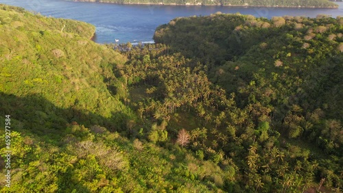 Distant Aerial View of Gamat Bay Beach in Nusa Penida of Bali Indonesia. Tropical Jungle Forest Valley and Mountain Hills under Sunrise Sunlight photo