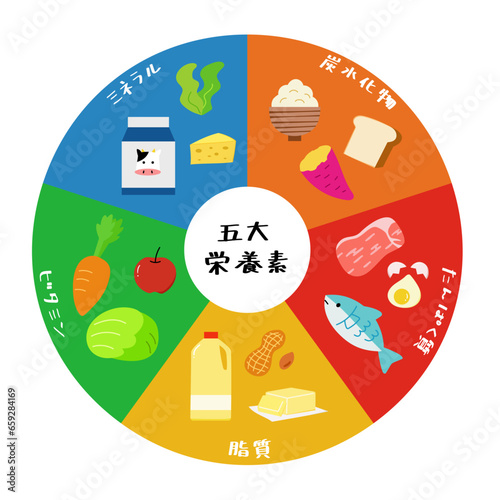 栄養素、タンパク質、炭水化物、脂質、ミネラル、ビタミンの色々な食品の円グラフイラスト素材