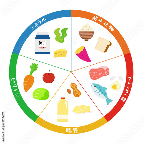 栄養素、タンパク質、炭水化物、脂質、ミネラル、ビタミンの色々な食品の円グラフイラスト素材