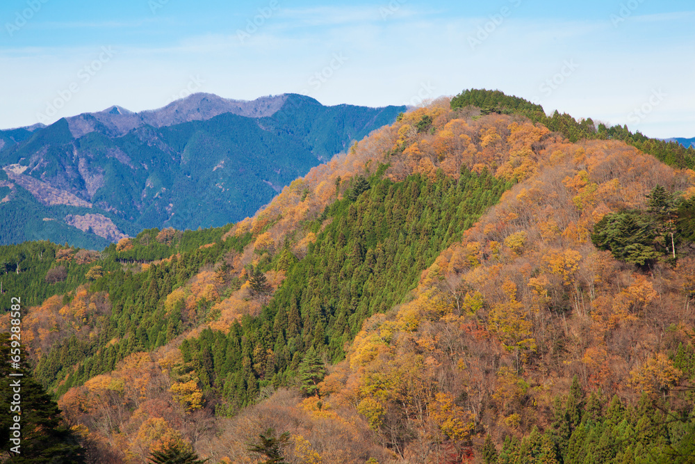 Panoramic view from the observation deck of Mt. Mitake in autumn leaves, Tokyo, Japan