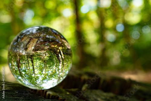 Focus on taking care of nature shown with a glass ball  reflecting the Scandinavian forests  landscapes and nature inside and outside the ball. A room with nature in the nature.