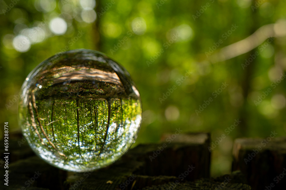 Focus on taking care of nature shown with a glass ball reflecting the Scandinavian forests, landscapes and nature inside and outside the ball. A room with nature in the nature. Focus on taking care of nature shown with a glass ball reflecting the Scandinavian forests, landscapes and nature inside and outside the ball. A room with nature in the nature.