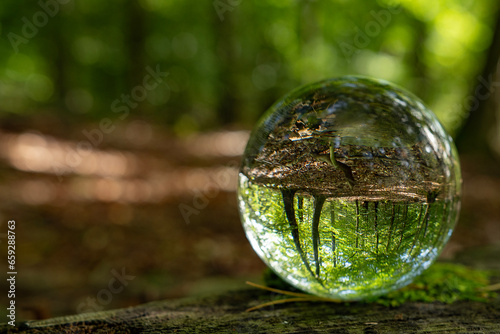 Focus on taking care of nature shown with a glass ball reflecting the Scandinavian forests, landscapes and nature inside and outside the ball. A room with nature in the nature.