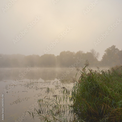 misty morning on the lake