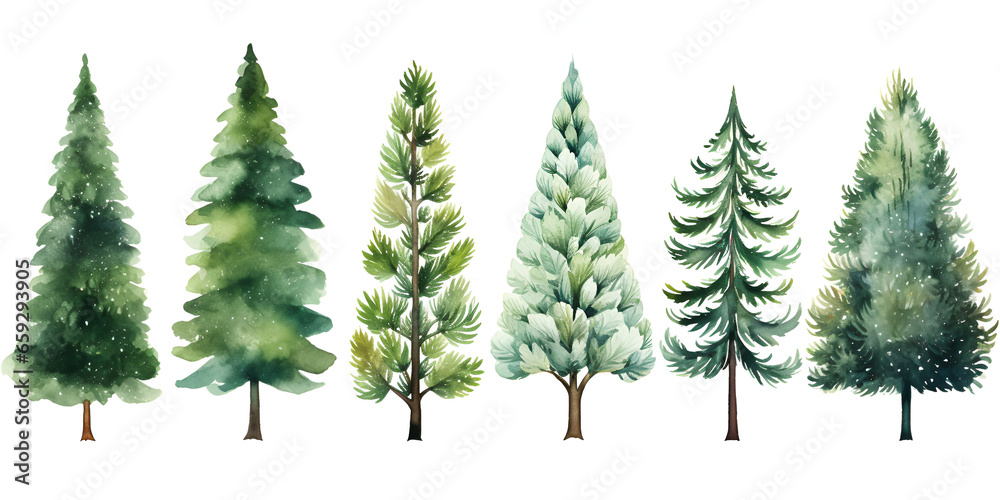 Set of different watercolor pine trees isolated on white background - obrazy, fototapety, plakaty 