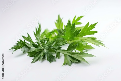 Lovage leaves on a white background. Generative AI