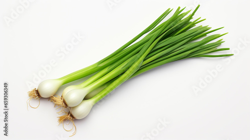 Green onion on neutral background.