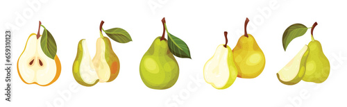 Green Pear Fruit with Stem and Leaf Vector Set