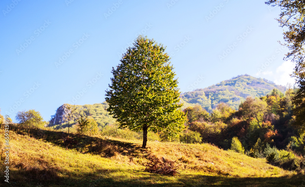 Scenic nature autumn landscape.