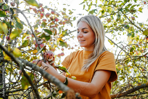 Smiling blond woman examining apples in orchard photo