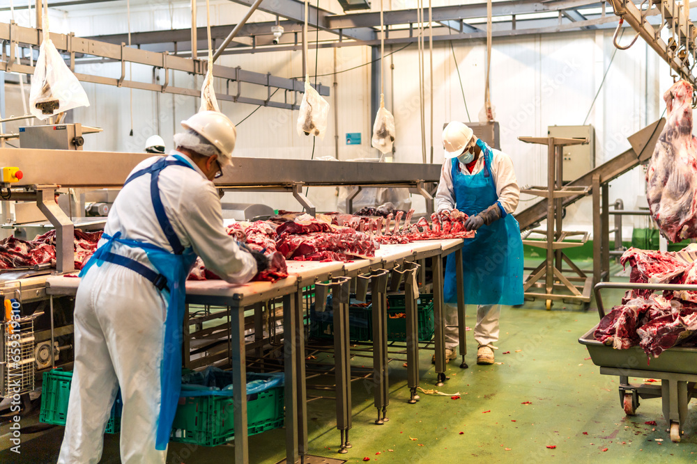 Foto de Slaughterhouse workers cutting meat from cow rib at factory do ...