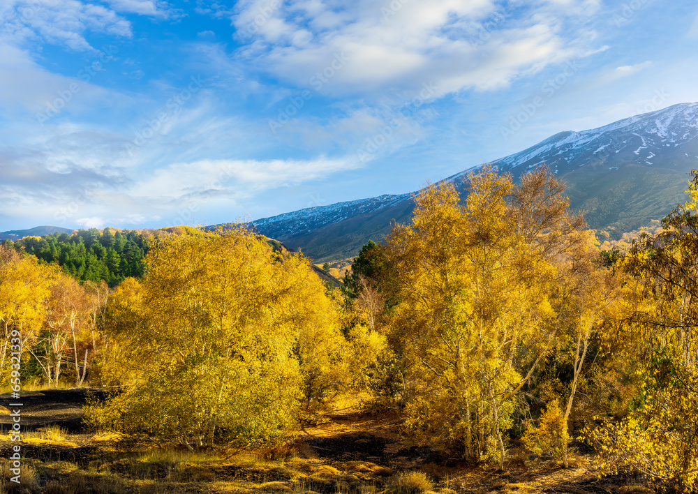 scenic autumn landscape of green and yellow forest with beautiful blue cloudy sky on background scenic autumn landscape of green and yellow forest with beautiful blue cloudy sky on background