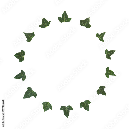 Winter ivy leaf wreath on white background, Christmas traditional fauna for logo, card, invitation, menu, label, gift tag. 