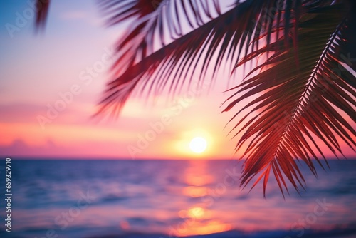 Sunset Through Tropical Palm Leaves: Pink Sky and Sea © pierre